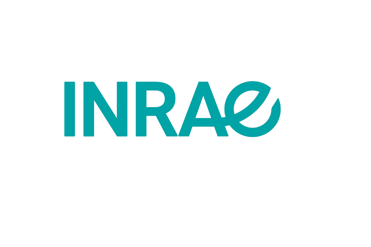 Logo Item